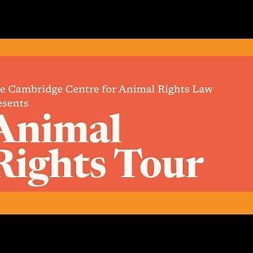 S1 Ep9: Animal Welfare Laws Today
