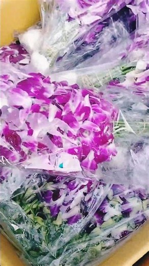 💐 Colorful Fresh Flowers | Florist Deep #flowers #florist #freshflowers