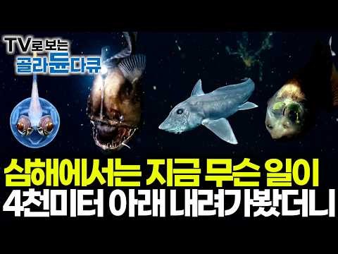 What’s Happening in the Deep Sea That Humans Still Haven't Conquered | Another Universe: Everythi...