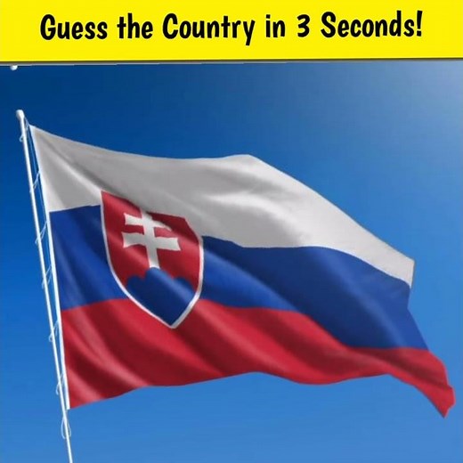 Guess the Country in 3 Seconds! | Slovakia Flag Challenge 🌍 | Slovakia Facts 🇸🇰 #shorts