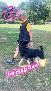 Training makes the master — and today, we’re leveling up with a stylish about-turn flip! 🐕✨ At first, we use plenty of pre-signals to guide the process, helping the dog understand exactly what we want. But with practice, the magic happens: just a tiny cue from the handler, and the dog turns like a true champion right by their side. 💪🐾 From clumsy starts to flawless teamwork — it’s all in the journey. 🔄❤️ #DogTraining #DogTrainer #DogTricks #AboutTurn #Heelwork #ObedienceTraining #DogSports #