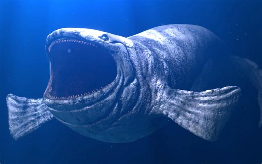 深海巨物恐惧症勿进，深海中的克系生物合集