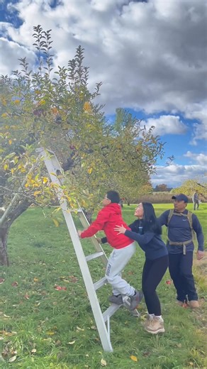 His First Red Apple Picking At The Farm 🤣 #reels #enjoy #trees #hiking #ApplyNow #adventure | DuoTrail Influencer