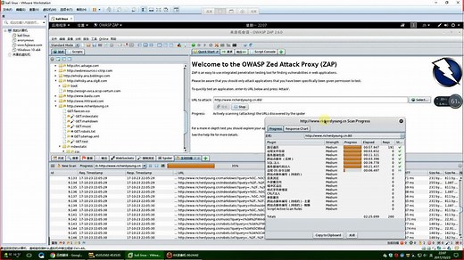 Kali Linux Web程序工具 owasp-zap 教程