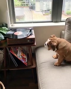 271K views · 6.9K reactions | A singing freezbie  credit :...