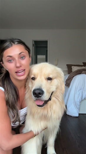 Meet My Golden Retriever: The Ultimate Gold Labubu Experience #GoldenRetriever #LabubuAdventure