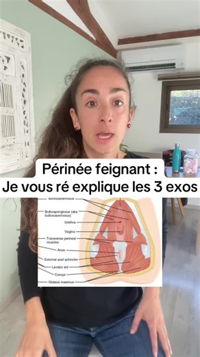 Les 3 exos clés pour la rééducation du périnée