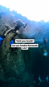 5.6K views · 19 reactions | Save for your Philippines bucketlist ...