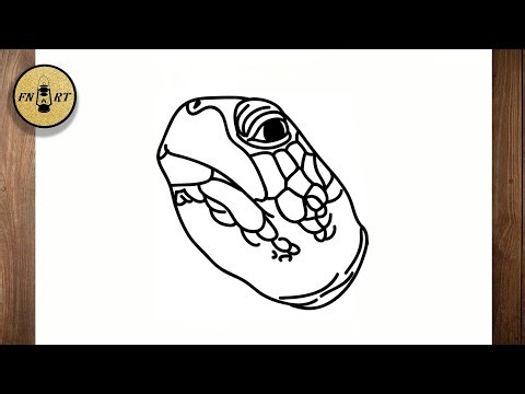 How to draw a sea turtle head side view