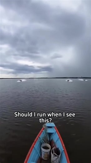 Should I Run? Dangers to Avoid in Nature