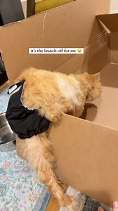 139K views · 6.4K reactions | Leggie strength was out of this world. Always grateful for a nice pr box to activate Cappy's fearless sense of adventure and zest for life. His bunny hops were extra springy hehe. 冀 this self care surprise was just what our ENTIRE household needed ✨ | Katie Beth Miedaner | Facebook