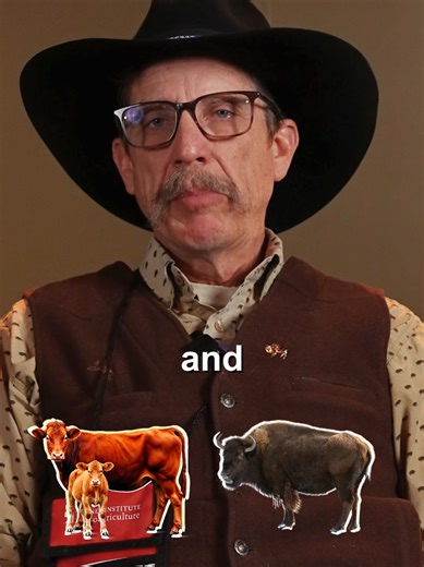 Who's the king of bovine!? It's called the bison advantage for a reason.