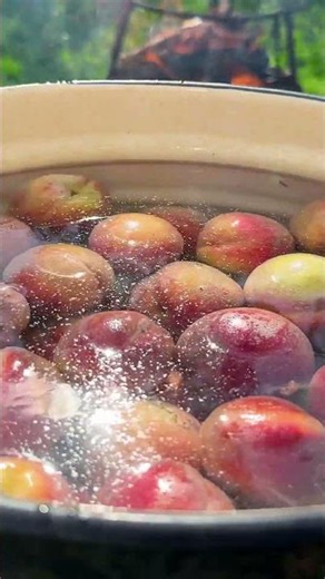 Fire-Boiled Peach Preserves: Capturing Summer's Sweetness