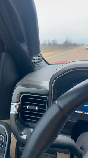 OLD BUD | Chris Brocato