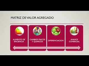 Matriz de Valor Agregado
