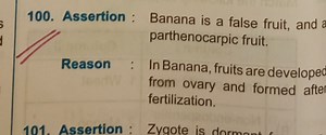 Assertion : Banana is a false fruit, and parthenocarpic fruit.... | Filo
