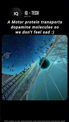 Kinesin: The Cellular Motor | How Proteins Walk on Microtubules