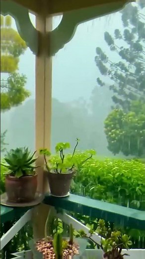 Beautiful Rain & Peaceful Weather at a Farmhouse | Relaxing Nature Sounds & Scenic Views