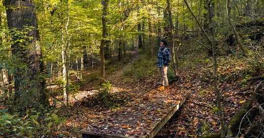 Explore Shelby Forest
