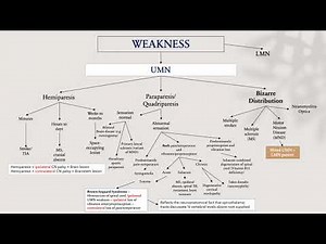 Concept Maps: ‘Approach to A Patient with weakness’