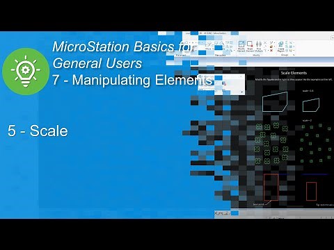 5 Scale