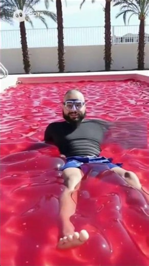 Jello swim pool ♥️ #ytshorts #cat #trending #funnyanimals #tornado #aivideo #funny #cutedogs #ring