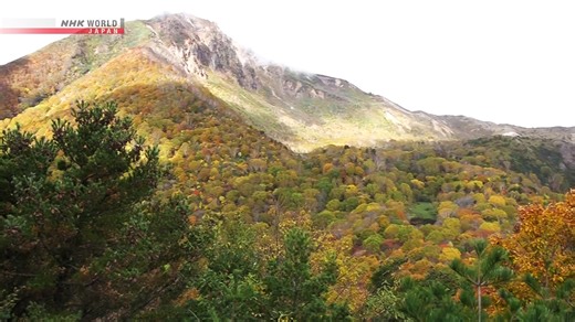 48K views · 1K reactions | Mt. Bandai in Fukushima Prefecture is delighting hikers with its beautiful autumn colors. The leaves near the 1,816-meter peak began changing around October 8. More videos: https://www3.nhk.or.jp/nhkworld/en/news/video/ | NHK WORLD-JAPAN | Facebook