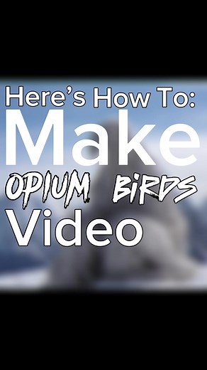 Opium Birds Tutorial: Step-by-Step Guide to Creating AI Art