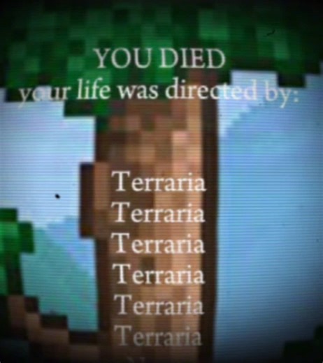 Terraria (Terraria) #terraria #english #meme #youdied #terraria4ever @OkCron® 🙄🤟