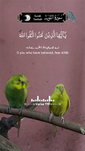 Dua for Rizq and Shifa | Budgies Reciting Friday Supplications