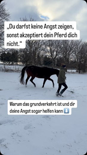 Wenn die Angst kickt… 🫣🔥 Dein Pferd kommt in Stress, wird aufdringlich oder wild – und plötzlich spürst du dein Herz schneller schlagen. Dein Kopf schreit: „Oh Gott, wenn ich jetzt auch noch Angst habe, eskaliert es erst recht!“ 🤯 Vielleicht hast du Sätze gehört wie „Ein Pferd braucht Führung. Du darfst keine Angst haben. Mach dich groß!“ – doch tief in dir weißt du: Dein Pferd spürt sowieso, was wirklich in dir vorgeht. Es fühlt deinen Herzschlag, es riecht sogar deine Angst – das belegt ein