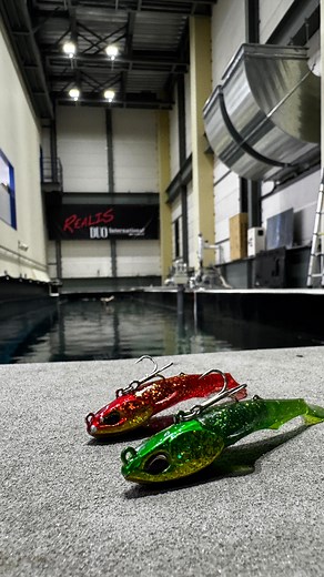 Tsulino on Instagram: "DUOルアー製造現場に潜入😎VOL.3 final！ いよいよ！完成したルアーを握りしめ、 DUOさんの巨大水槽でスイムチェック☑️ ジャンゴグラブの艶かしい動きを是非ご覧ください😊✨ DUO✖️Tsulino 【ビーチウォーカージャンゴグラブ】 Tsulino custom color製造が進行中❗️ 伊勢湾マゴチにドンピシャなカラーが作りたいっ😆との事で、DUOさんに懇願して製造して頂き、何度も試作して頂きたどり着いた カラー名はその名も‼️ 🔴I am AKAKIN! 🟢Angry Green 伊勢湾マゴチ&ヒラメ攻略の次なる一手に是非☝️ 発売は2025年6月予定！ 乞うご期待！ 💡ビーチウォーカージャンゴグラブ製品説明 ※DUO HPより引用 絶大な視覚アピール。ジャンゴグラブでマゴチ攻略に死角なし！！ シャッドに比べグラブテールが生み出す滑らかな動き・波動が視覚的にもマゴチの食性を強烈に刺激。また、ジャンゴの真骨頂ズル引きにおいても、よりスローにねっちりと誘い低活性なマゴチへのアピールが可能となっている。 広範囲に線