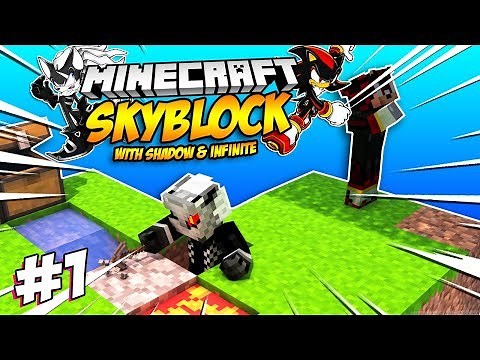 Shadow & Infinite Play Skyblock (Minecraft) Part 1 - TEAMWORK???