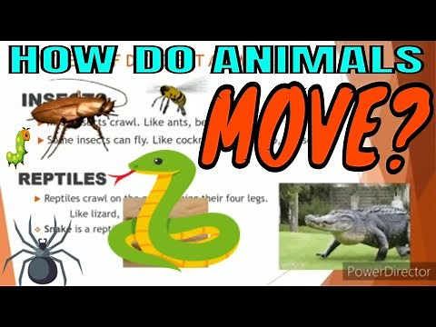 Movement of animals# class 3 Science