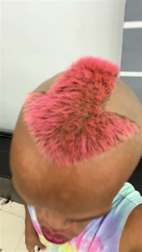 Giant Bonsai Vlogs: Unique Bonsai Trimming Techniques