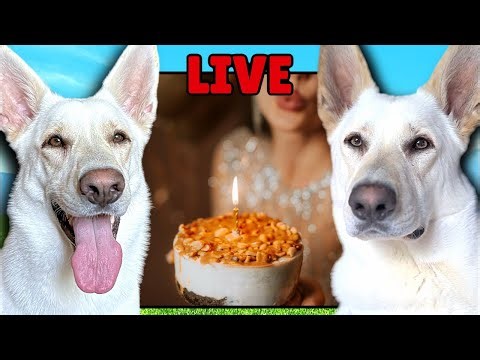 Happy Birthday Connie!