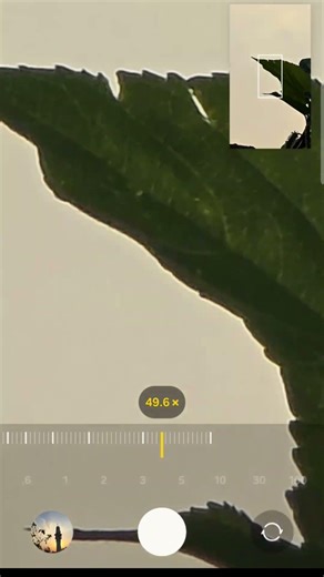 SAMSUNG S26 ULTRA ZOOM TEST 🤔👀🔥 #zoomtest #trending