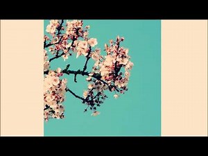 keshi - magnolia