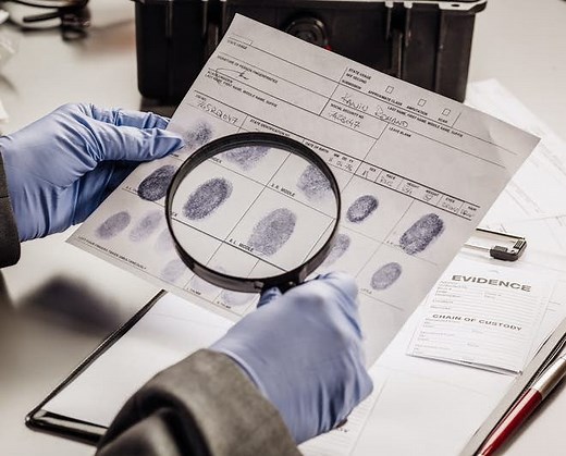 Criminal Psychology - Definition, Roles, Where They Work And What They Do - PsychoTreat