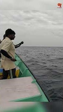 Deep Sea Fishing Videos #fishing #fishingvideo #fishingtime