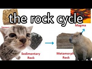 the rock cycle - geography explained : leaving cert, GCSE help.