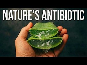 10 Medicinal Plants That Will Heal You Instantly