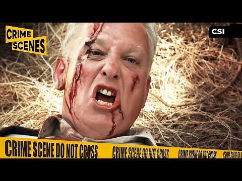 Nick Catches Warrick's Killer | CSI (Paul Guilfoyle, George Eads, Conor O'Farrell)