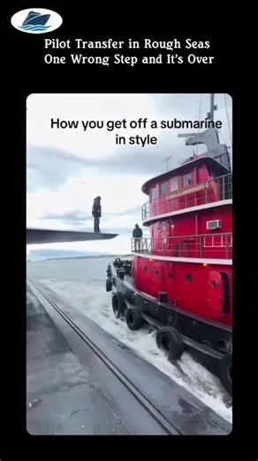 Pilot Transfer in Rough Seas — One Wrong Step and It's Over