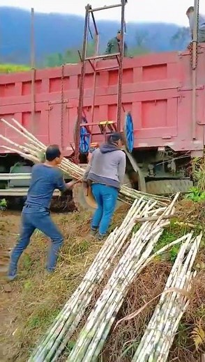 Loading process of sugarcane via vehicle mounted hoist