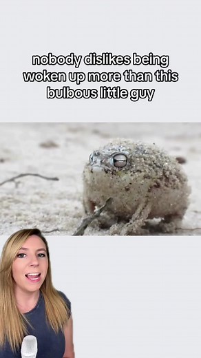 TikTok - Make Your Day