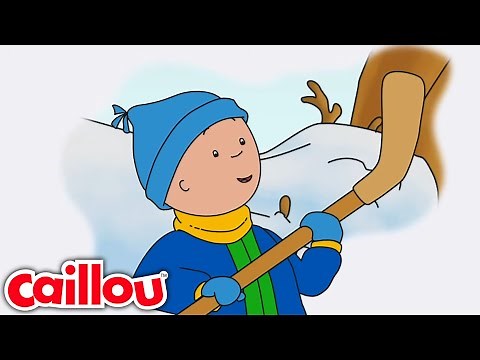 What's a Ringette? | Caillou - WildBrain | Learning for Children