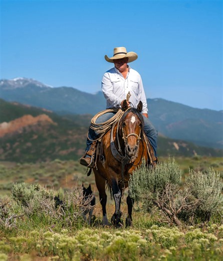 Gypsy Vanners aren’t just beautiful, they can also carry you through hell and back on the mountains. 🏔️ Visit our website or send us a message to learn more! #Ranchlife #mountainlife | Bar Milton Ranch