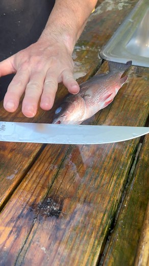 DarkWater Fillet Knife!!! This thing is a keeper!! Designed for bigger saltwater fish but still works great filleting smaller ones! | Pirate Forge