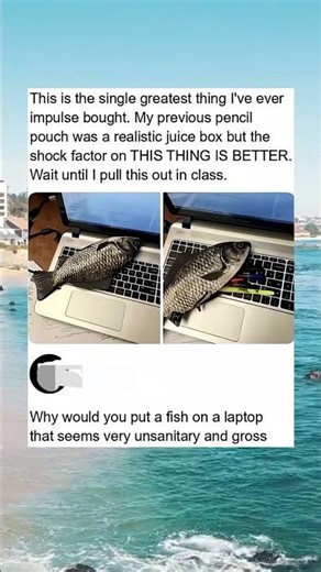 Who puts a fish on a laptop